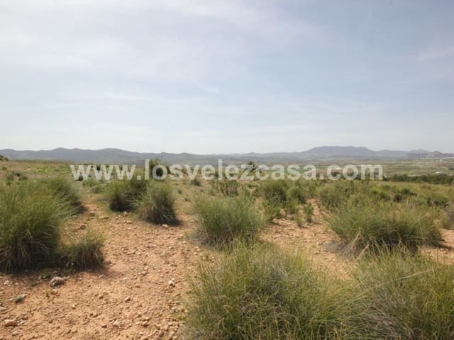 Undeveloped Land for sale in Vélez-Blanco - € 59,950 (Ref: 3457256)