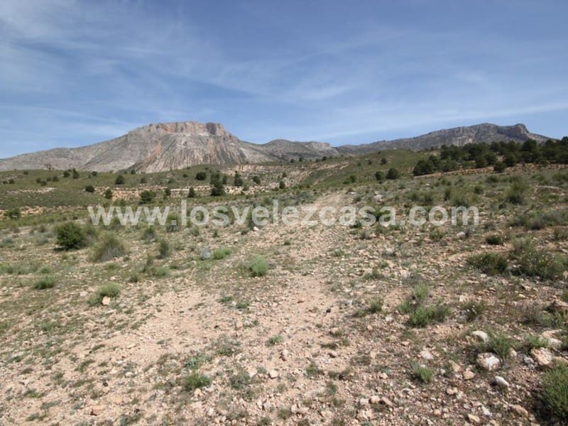 Undeveloped Land for sale in Velez-Blanco - € 59,950 (Ref: 3457256)