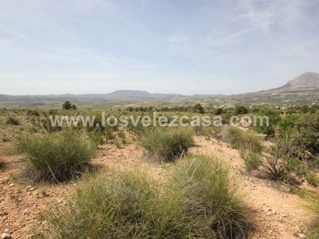 Undeveloped Land for sale in Vélez-Blanco - € 59,950 (Ref: 3457256)
