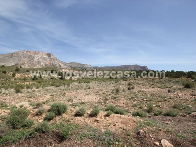 Undeveloped Land for sale in Vélez-Blanco - € 59,950 (Ref: 3457256)