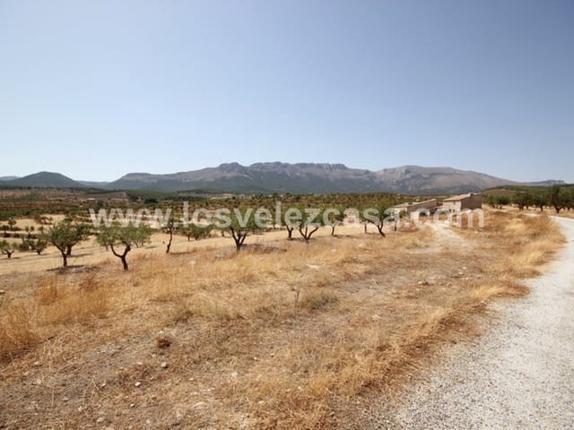 9 sovrum Finca/Hus på landet till salu i María - 230 000 € (Ref: 3544049)