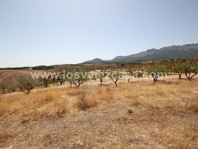 9 sovrum Finca/Hus på landet till salu i María - 230 000 € (Ref: 3544049)