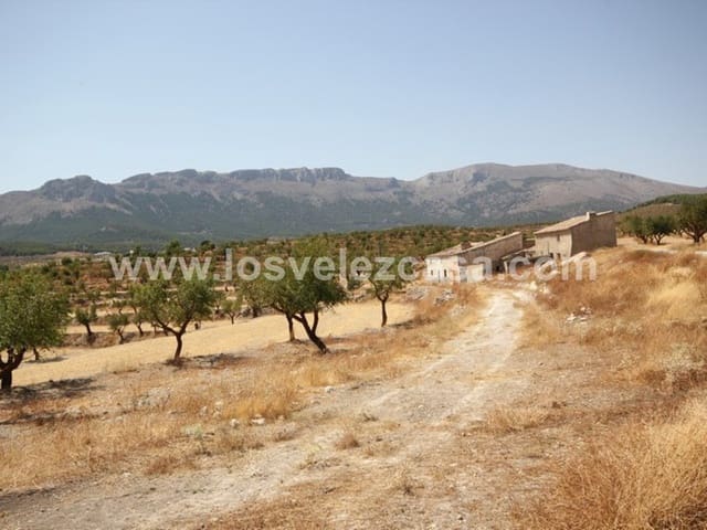 9 sovrum Finca/Hus på landet till salu i María - 230 000 € (Ref: 3544049)