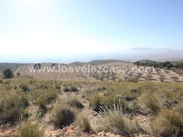Undeveloped Land for sale in Vélez-Blanco - € 700,000 (Ref: 5062416)