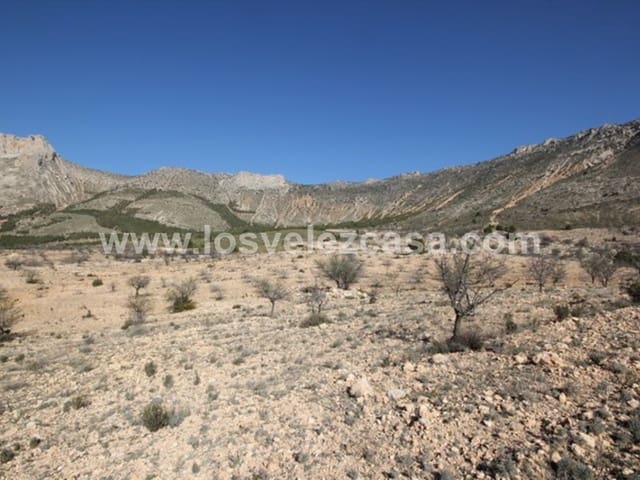 Undeveloped Land for sale in Vélez-Blanco - € 700,000 (Ref: 5062416)