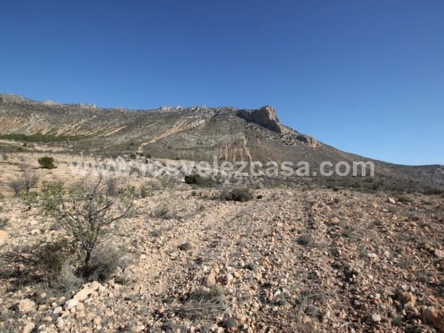 Undeveloped Land for sale in Vélez-Blanco - € 700,000 (Ref: 5062416)