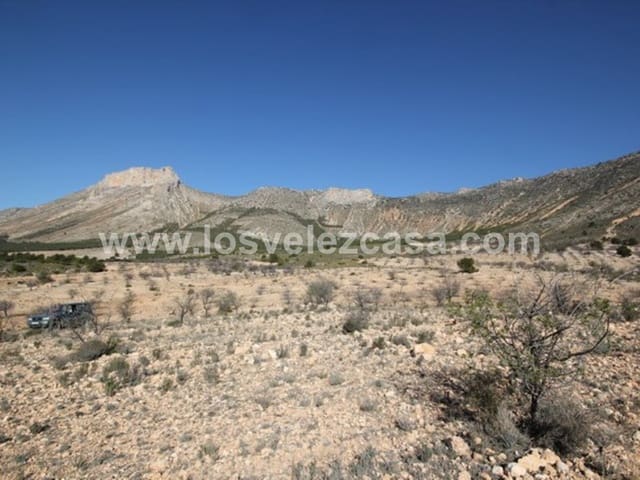 Undeveloped Land for sale in Vélez-Blanco - € 700,000 (Ref: 5062416)