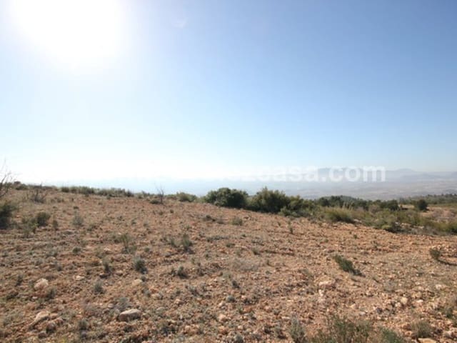 Undeveloped Land for sale in Vélez-Blanco - € 700,000 (Ref: 5062416)