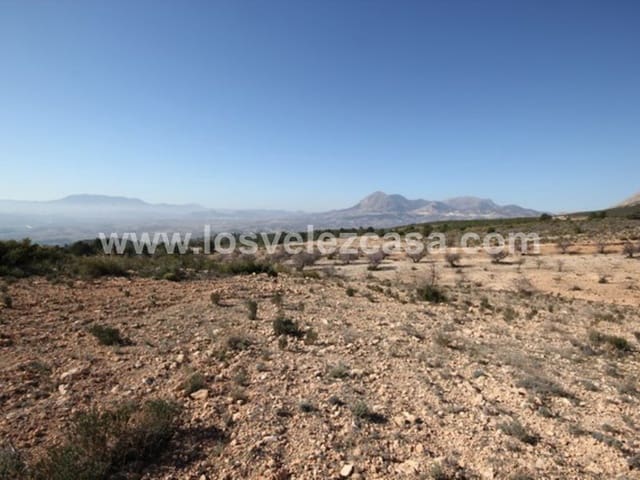 Undeveloped Land for sale in Vélez-Blanco - € 700,000 (Ref: 5062416)