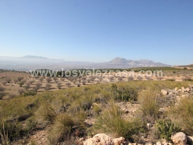 Undeveloped Land for sale in Vélez-Blanco - € 700,000 (Ref: 5062416)