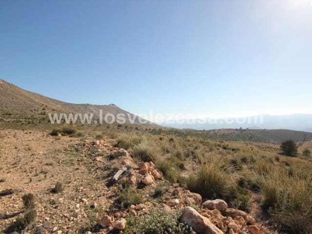 Undeveloped Land for sale in Vélez-Blanco - € 700,000 (Ref: 5062416)