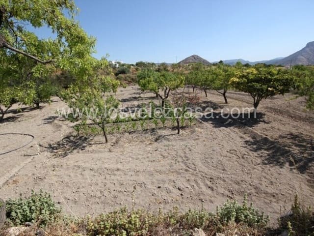 Undeveloped Land for sale in Vélez-Blanco - € 39,000 (Ref: 5426045)