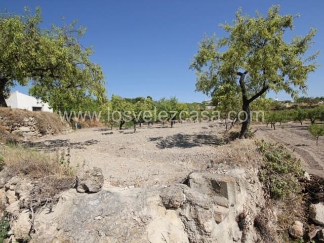 Undeveloped Land for sale in Vélez-Blanco - € 39,000 (Ref: 5426045)