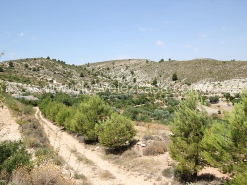 6 soverom Finca/Herregård til salgs i Velez-Blanco - € 199 500 (Ref: 5446084)