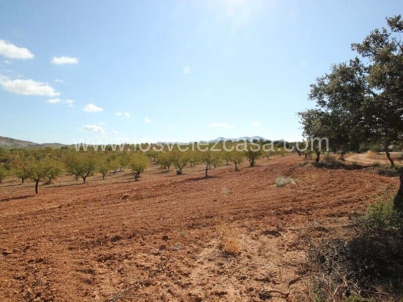 Grunde uden byggetilladelser til salg i Chirivel - € 690.000 (Ref: 5698009)