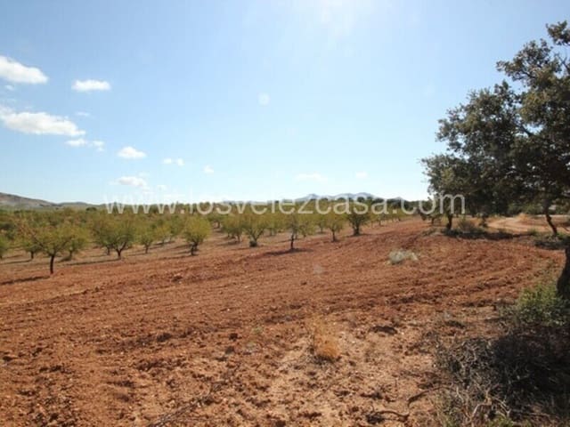 Grunde uden byggetilladelser til salg i Chirivel - € 690.000 (Ref: 5698009)