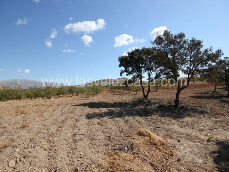 Grunde uden byggetilladelser til salg i Chirivel - € 690.000 (Ref: 5698009)