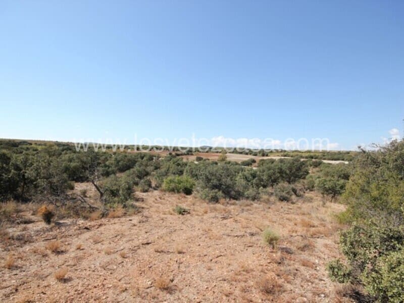 Grunde uden byggetilladelser til salg i Chirivel - € 690.000 (Ref: 5698009)