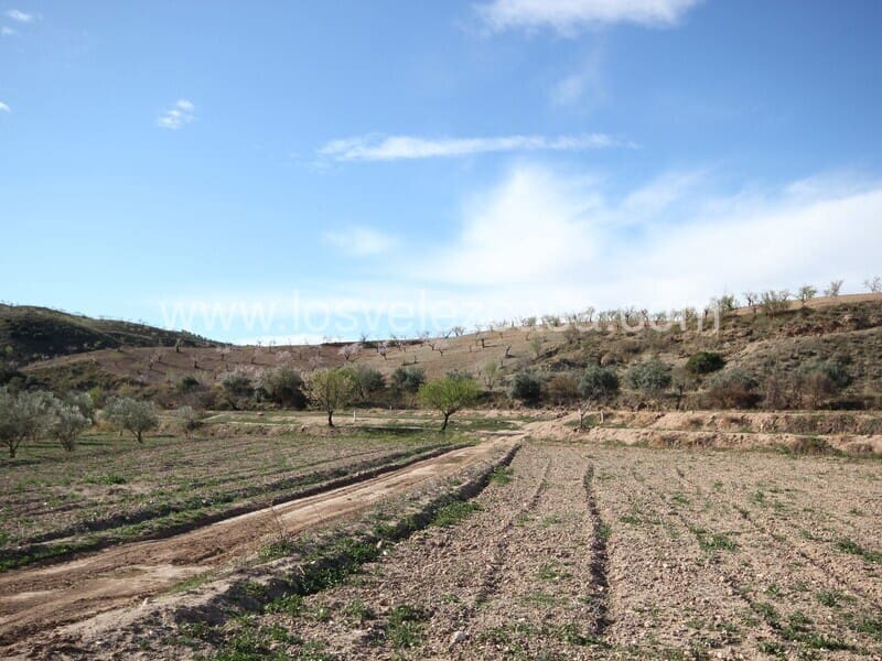 Grunde uden byggetilladelser til salg i Lorca - € 50.000 (Ref: 5937354)