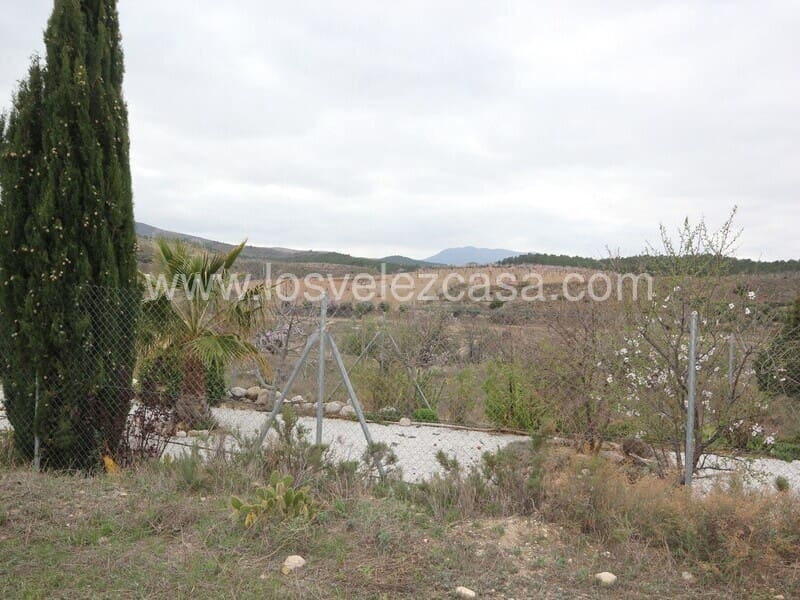 Grunde uden byggetilladelser til salg i Lorca - € 50.000 (Ref: 5937354)