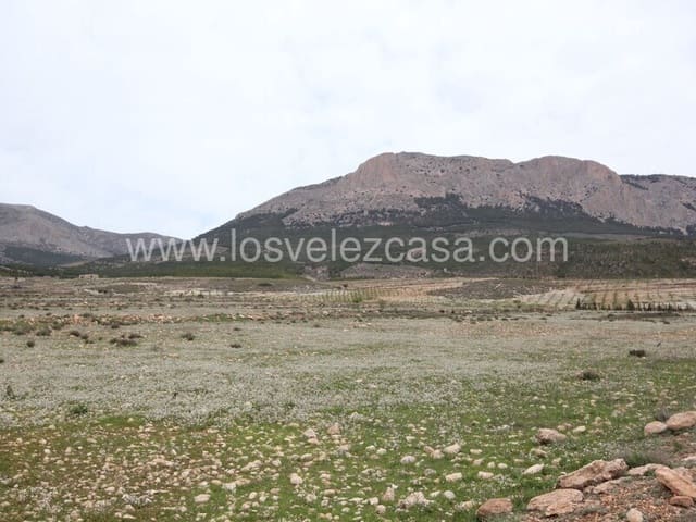 Mark till salu i Vélez-Rubio - 45 000 € (Ref: 6008696)