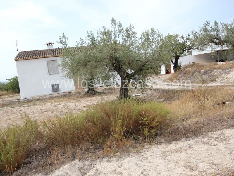5 soveværelse Finca/Landehus til salg i Velez-Blanco - € 235.000 (Ref: 6082490)