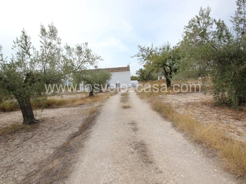 5 soveværelse Finca/Landehus til salg i Velez-Blanco - € 235.000 (Ref: 6082490)