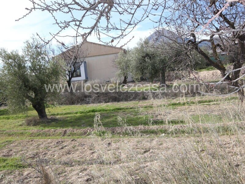 3 bedroom Finca/Country House for sale in Velez-Blanco - € 199,500 (Ref: 6082491)