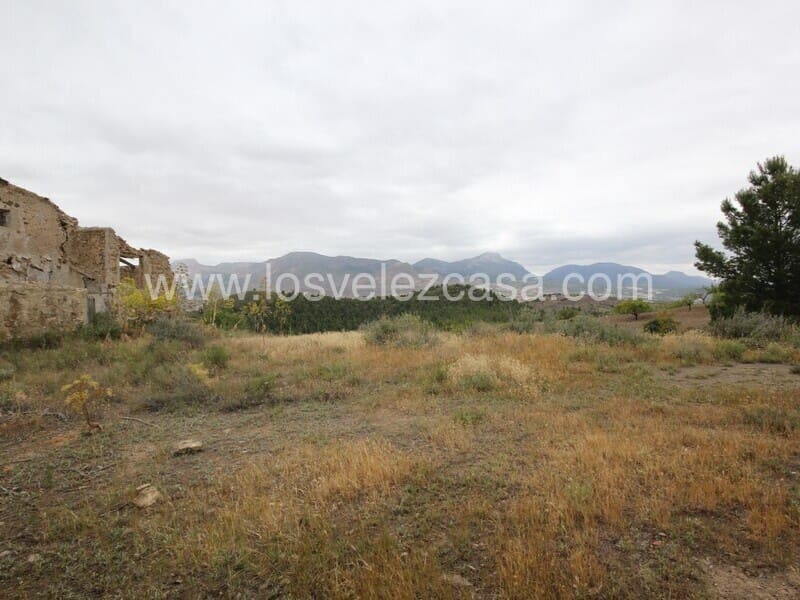 Quinta/Casa Rural para venda em Lorca - 79 500 € (Ref: 6097419)