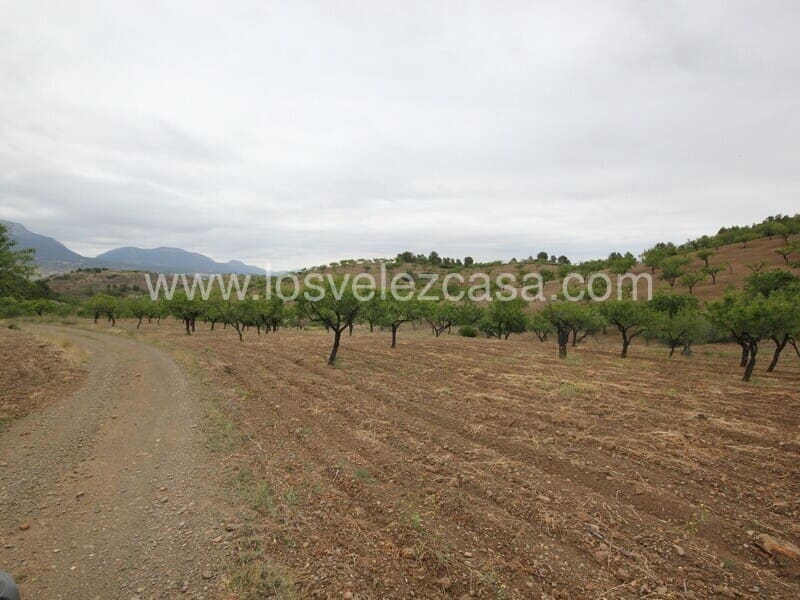 Quinta/Casa Rural para venda em Lorca - 79 500 € (Ref: 6097419)