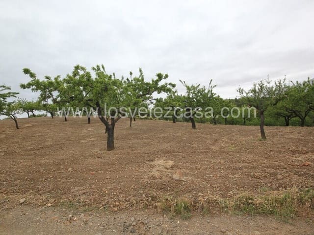 Maalaistalo myytävänä paikassa Lorca - 79 500 € (Ref: 6097419)