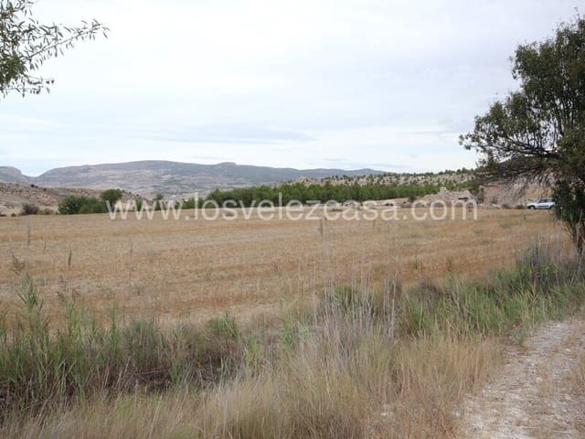 Undeveloped Land for sale in María - € 47,000 (Ref: 6332423)