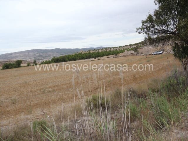 Undeveloped Land for sale in María - € 47,000 (Ref: 6332423)