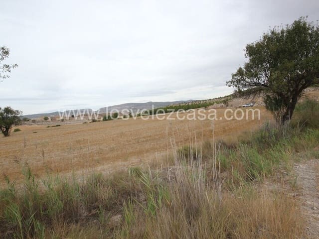 Undeveloped Land for sale in María - € 47,000 (Ref: 6332423)