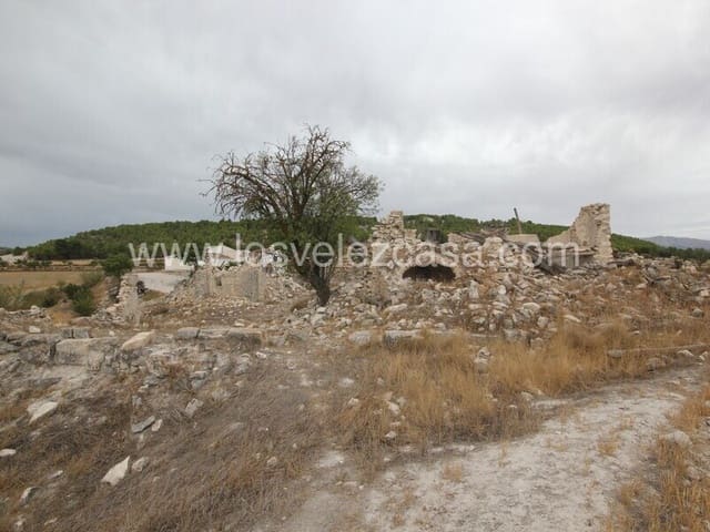 Undeveloped Land for sale in María - € 47,000 (Ref: 6332423)