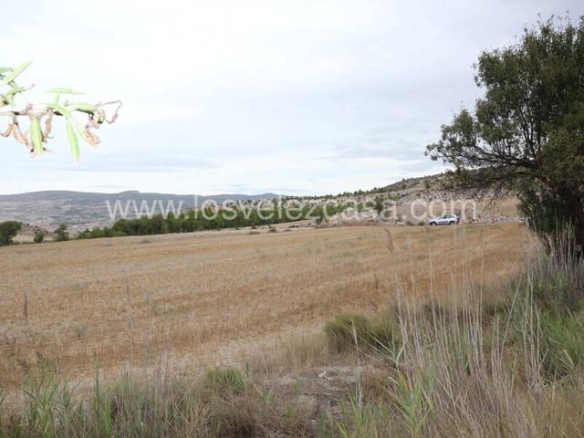 Undeveloped Land for sale in María - € 47,000 (Ref: 6332423)