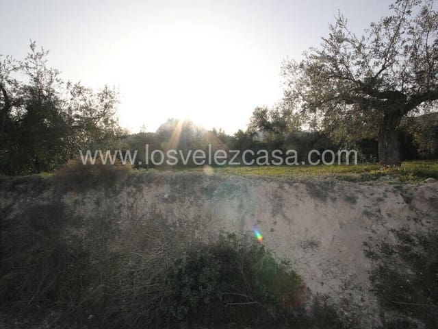 Undeveloped Land for sale in Vélez-Blanco - € 33,000 (Ref: 6695503)