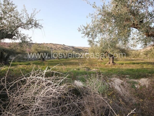 Undeveloped Land for sale in Vélez-Blanco - € 33,000 (Ref: 6695503)