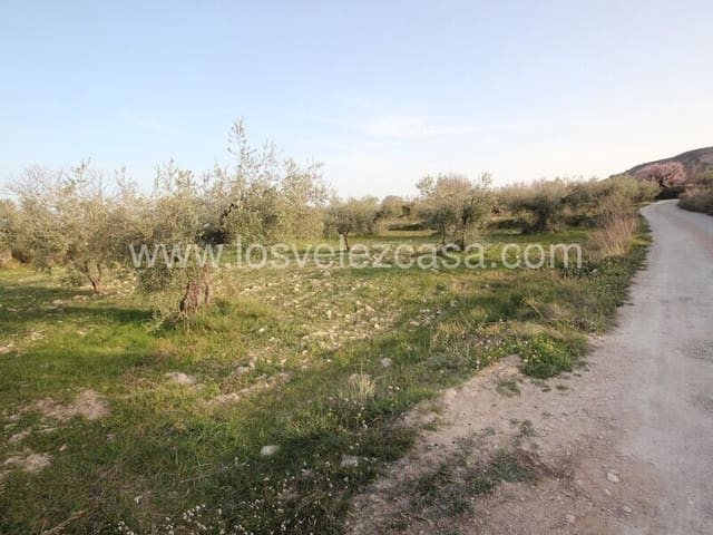 Undeveloped Land for sale in Vélez-Blanco - € 33,000 (Ref: 6695503)