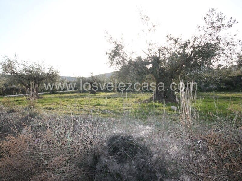 Grunde uden byggetilladelser til salg i Velez-Blanco - € 33.000 (Ref: 6695503)