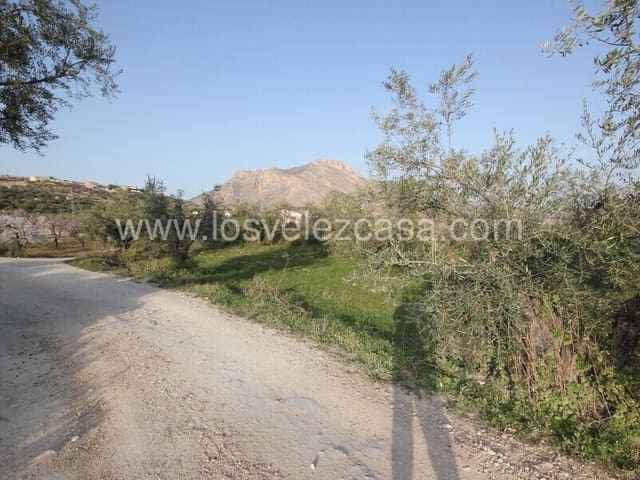 Undeveloped Land for sale in Vélez-Blanco - € 33,000 (Ref: 6695503)