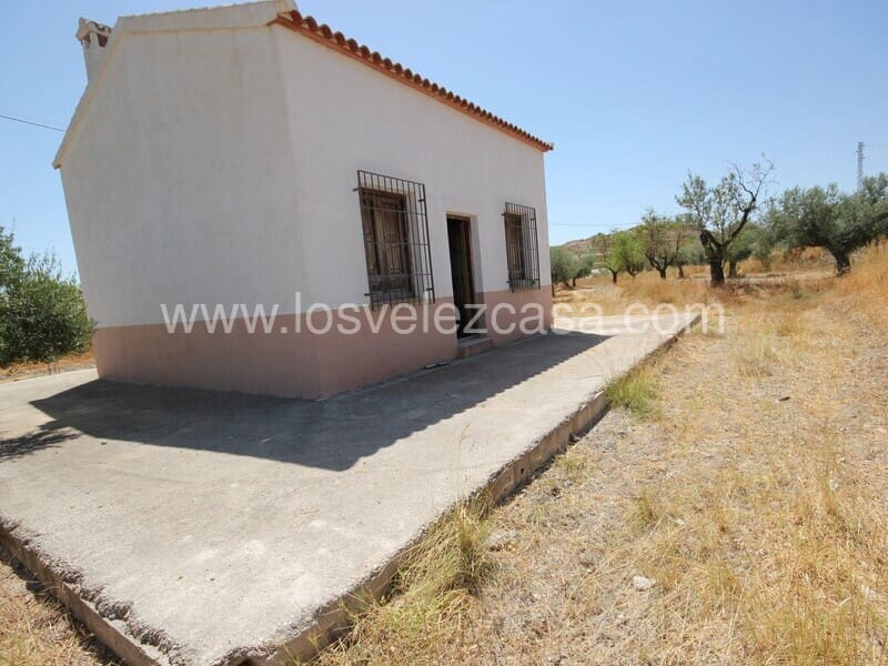 Grunde uden byggetilladelser til salg i Velez-Blanco - € 40.000 (Ref: 7011151)