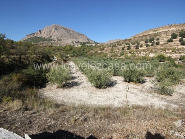 Undeveloped Land for sale in Vélez-Blanco - € 16,000 (Ref: 7173072)