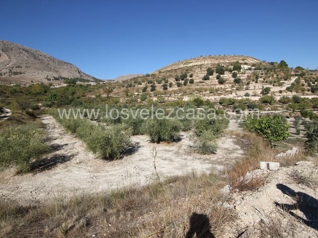 Undeveloped Land for sale in Vélez-Blanco - € 16,000 (Ref: 7173072)