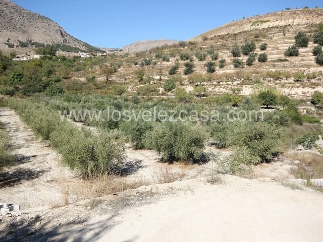 Undeveloped Land for sale in Vélez-Blanco - € 16,000 (Ref: 7173072)