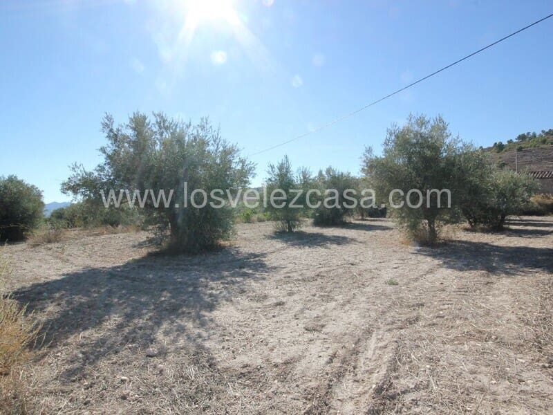Ubebygd land til salgs i Velez-Blanco - € 90 000 (Ref: 7173073)
