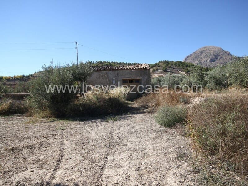 Ubebygd land til salgs i Velez-Blanco - € 90 000 (Ref: 7173073)