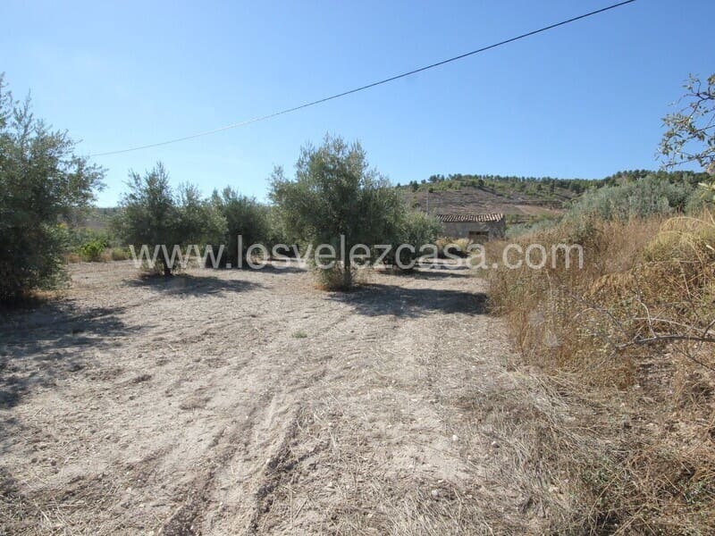 Ubebygd land til salgs i Velez-Blanco - € 90 000 (Ref: 7173073)