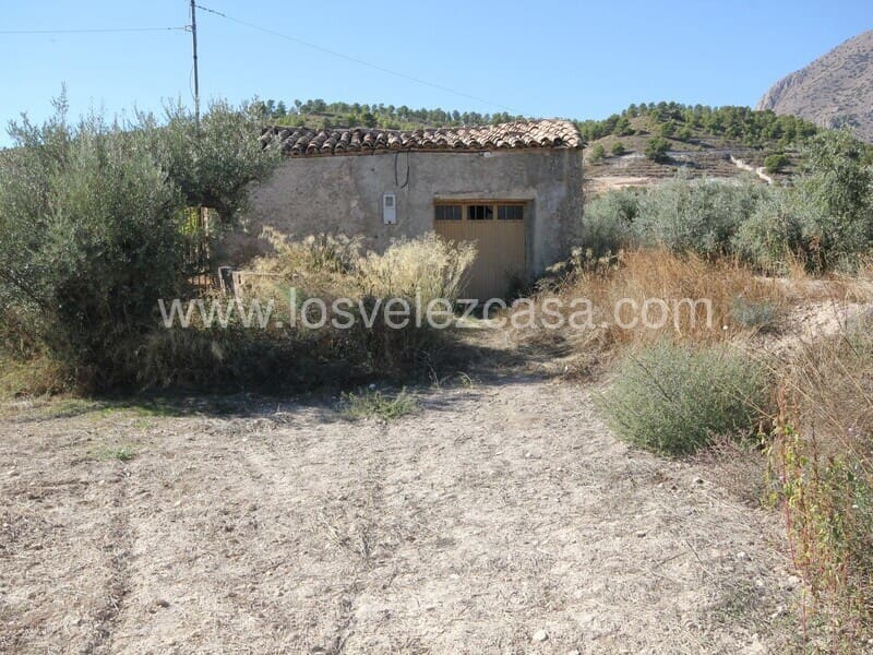 Ubebygd land til salgs i Velez-Blanco - € 90 000 (Ref: 7173073)