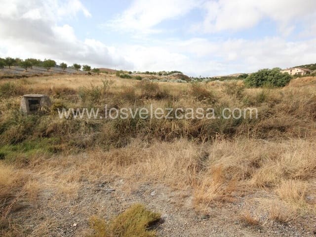 8 camera da letto Finca/Casa di Campagna in vendita in Vélez-Rubio - 145.000 € (Rif: 7180939)